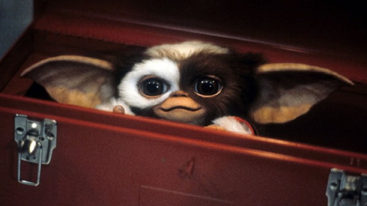 Gizmo in a suitcase from the movie 'Gremlins'
