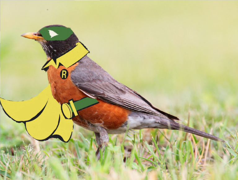 DC Comics Announces New Robin: It’s Actually A Bird This Time