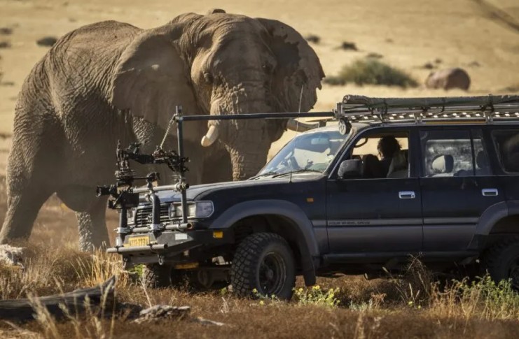 A Desert elephant comes face to face with the film crew in a rigged film vehicle, showing the gigantic size of the elephant in full. Screenshot Secrets of the Elephants